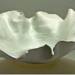 Decorative-II - Oyster #4